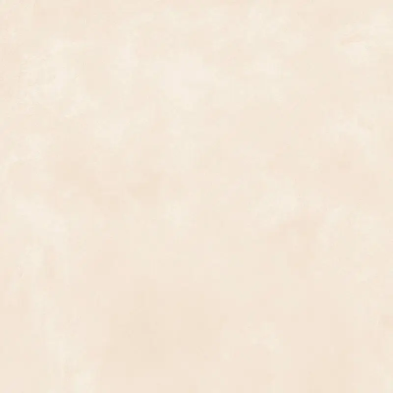 Barcelona Arena-84 Polido